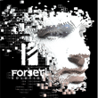 Forseti Solutions Blog on AI and the Future