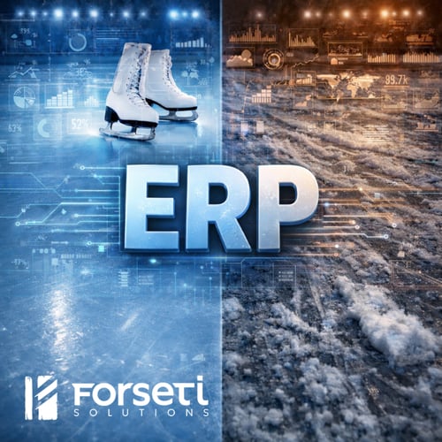 How to keep your ERP System Smooth Blog graphic