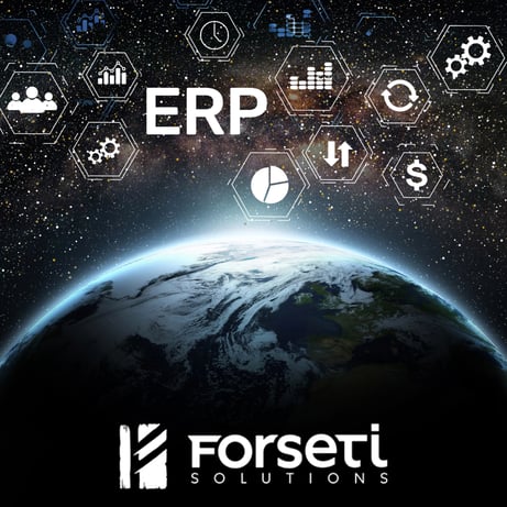 The World of ERP Forseti Blog Graphic